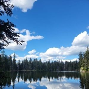 Meet your Posher, Wendy